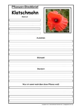 Pflanzensteckbrief-Klatschmohn.pdf